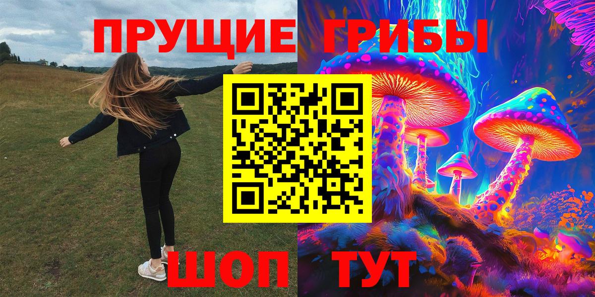Минусинск  Псилоцибиновые грибы MAGIC MUSHROOMS  Вход с VPN 